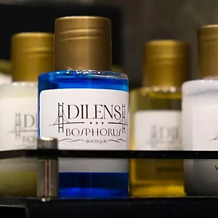 Dilens Bosphorus Hotel Istanbul