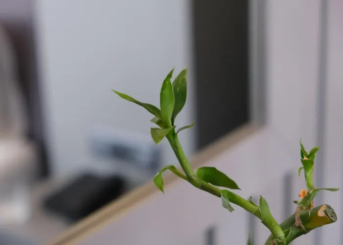 Dilens Bosphorus Hotel